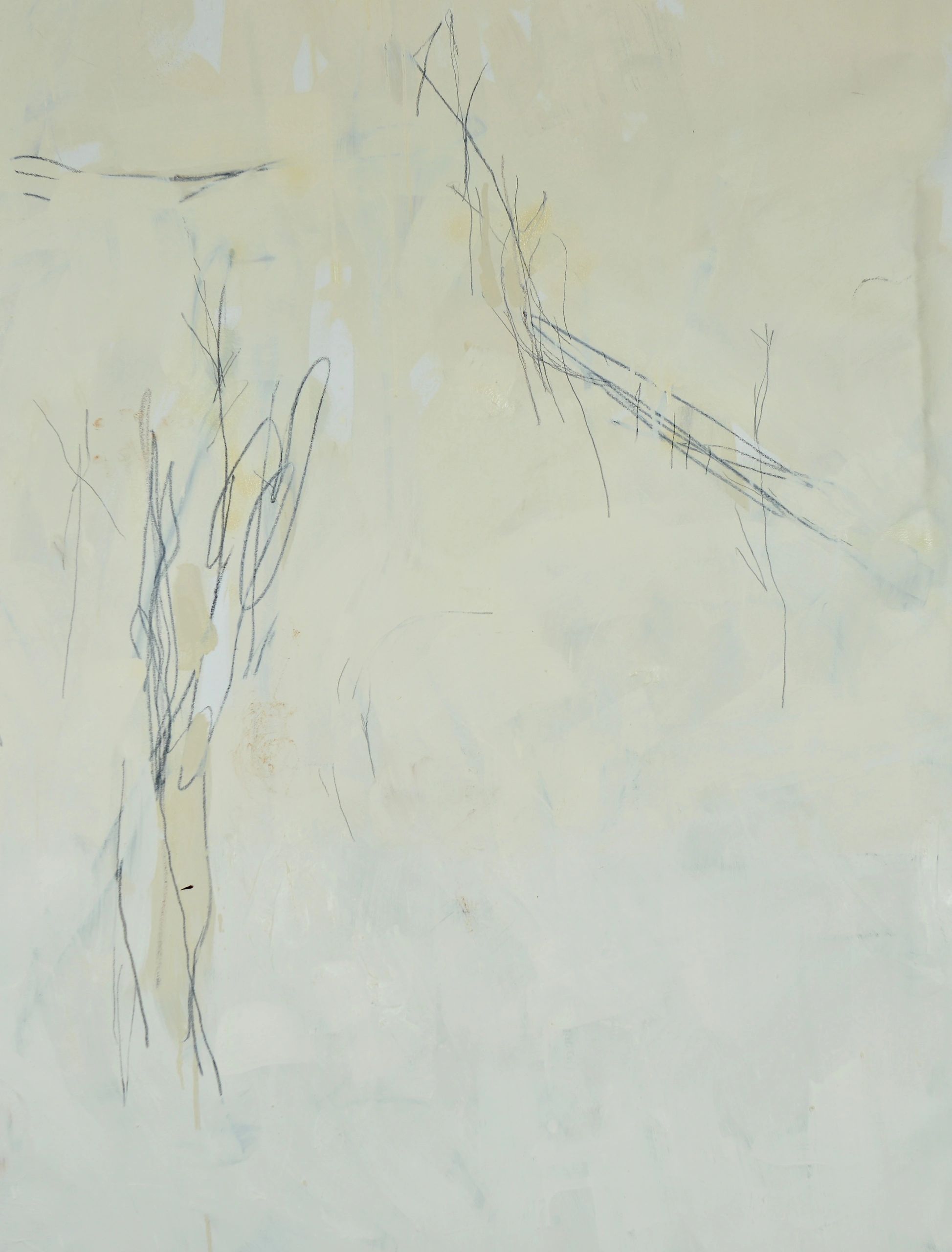 #86, UNTITLED, 54"X42", 2008