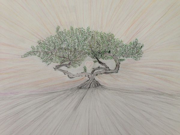by Liam Bōbiam