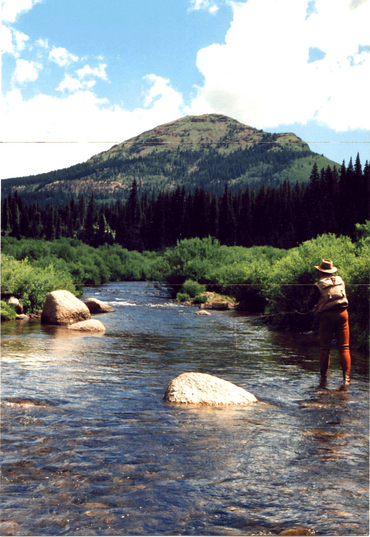 Fly fishing the Pine river