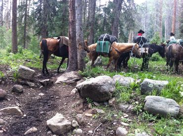 Pack horses taking a breather.
