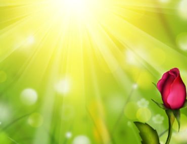 Red Rose on Yellow Glow
Print-Art-on-Demand™ FREE DOWNLOAD