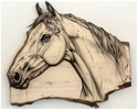 Live Edge Horse Head pyrography; woodburning