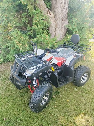 The 200cc Tao Tao Bull