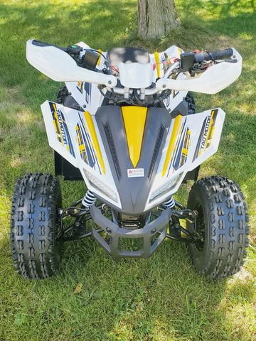 The 125cc Tao Tao rex