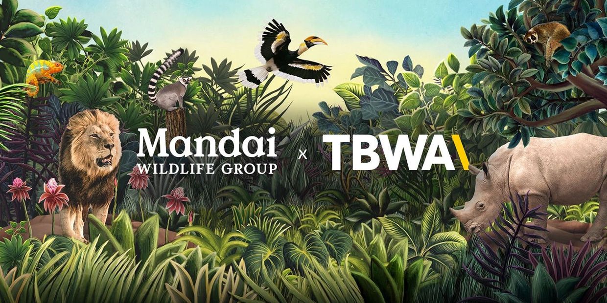 Illustration of jungle wildlife with Mandai Wildlife Group and TBWA logos.