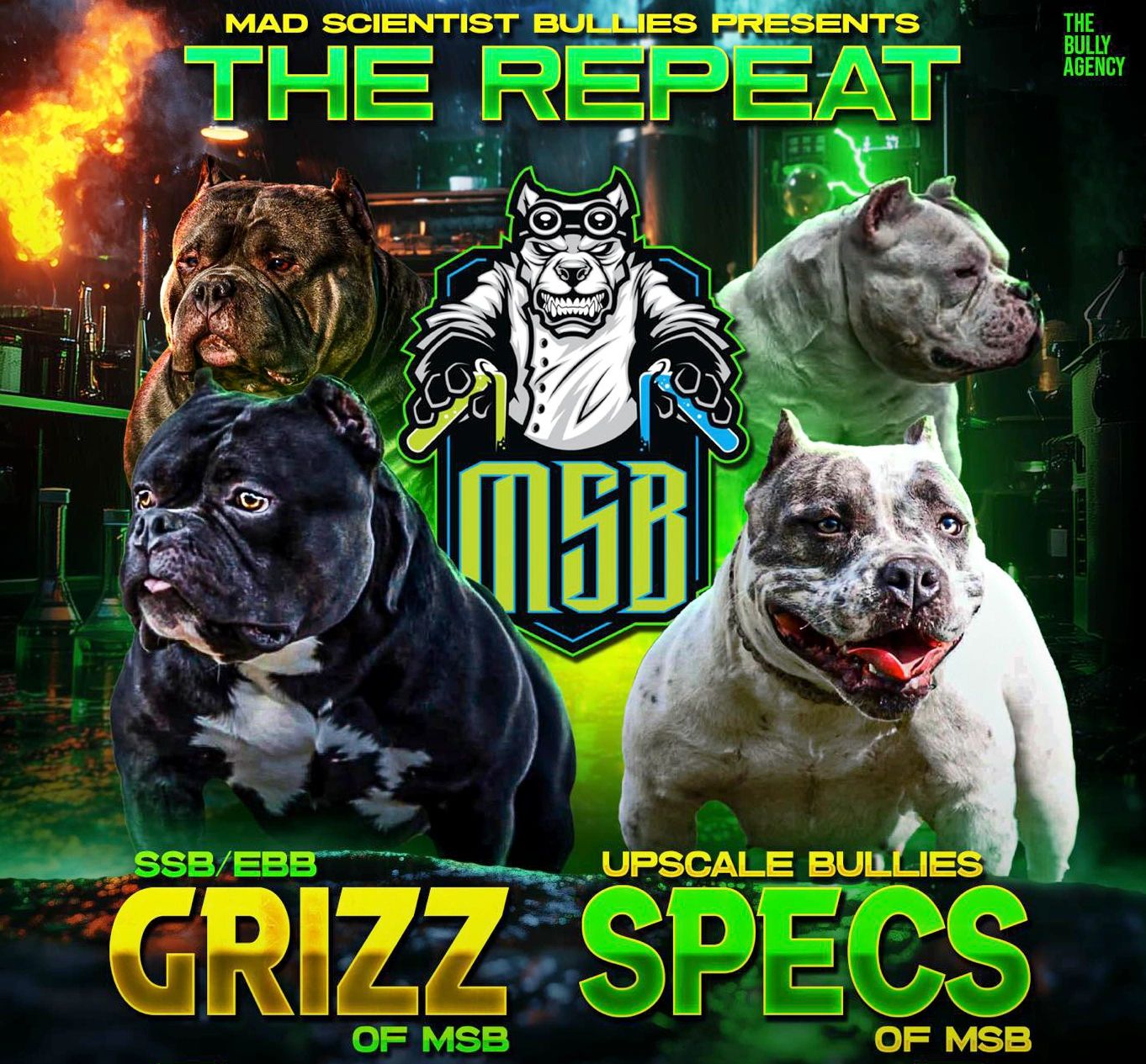Poster featuring four muscular bully breed dogs with bold text and a mad scientist logo.