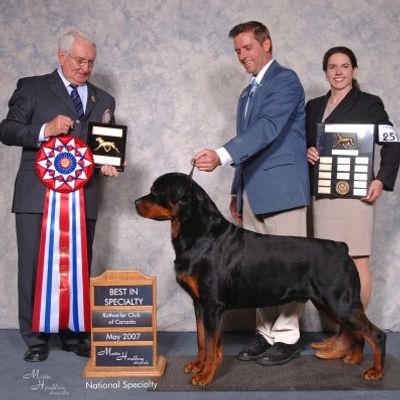 Ravenscrest The Alchemist