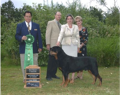 Ch Ironwoods Primetime - Best Veteran - Rottweiler Club of Canada 2008 National Specialty,