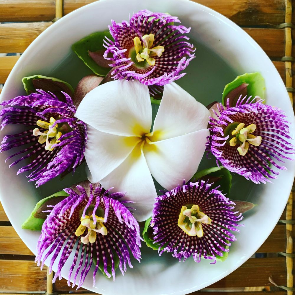 Passion flowers and plumeria blossom float in water