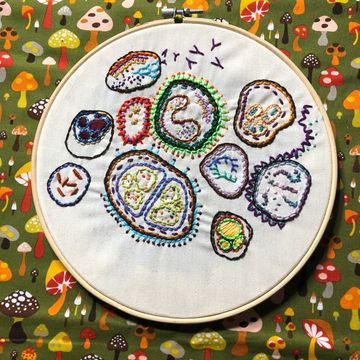 Colorful embroidered cells on fabric in a hoop.