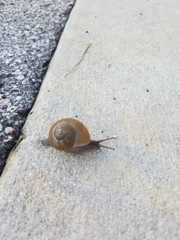 Bella Vie Downtown Delray rental, vacation rental, weekly rental, party venue, event venue