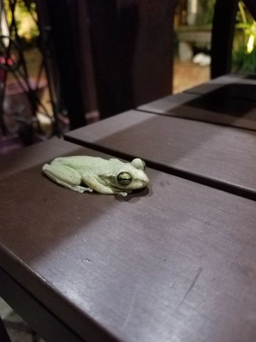 Bella Vie Downtown Delray rental, vacation rental, weekly rental, party venue, event venue