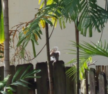 Bella Vie Downtown Delray rental, vacation rental, weekly rental, party venue, event venue