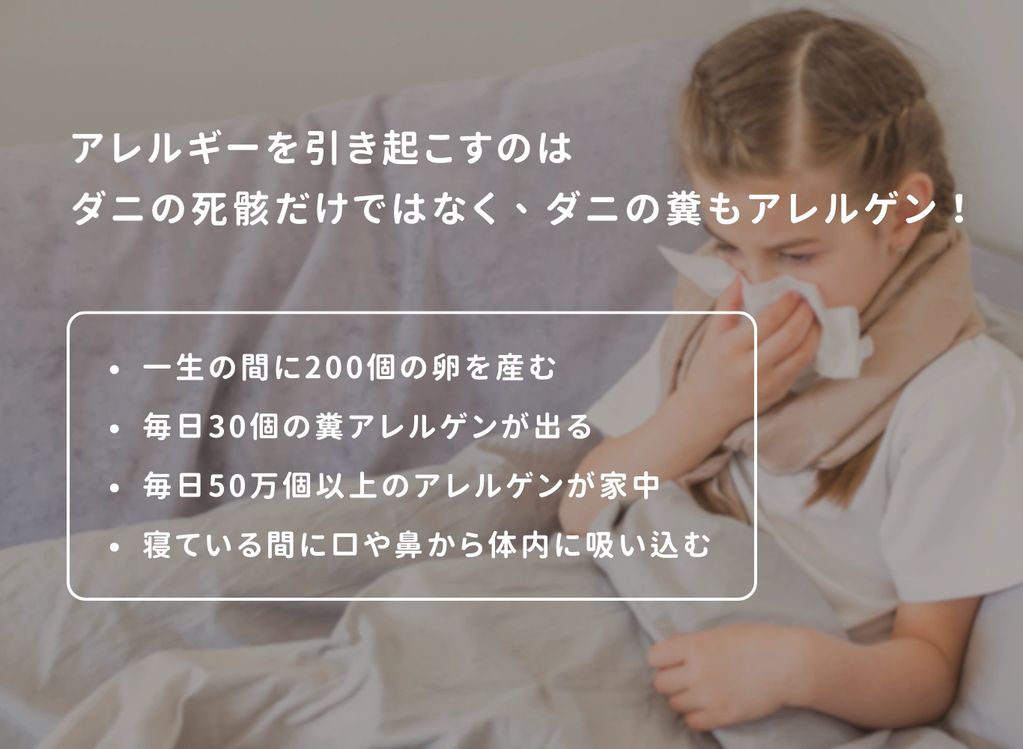 アレルギーの原因となるのはダニの死骸だけではありません。ダニの排泄物もアレルゲンとなるのです。
