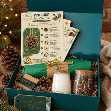 Pinecone birdfeeder kit with instructions and seeds in a gift box.