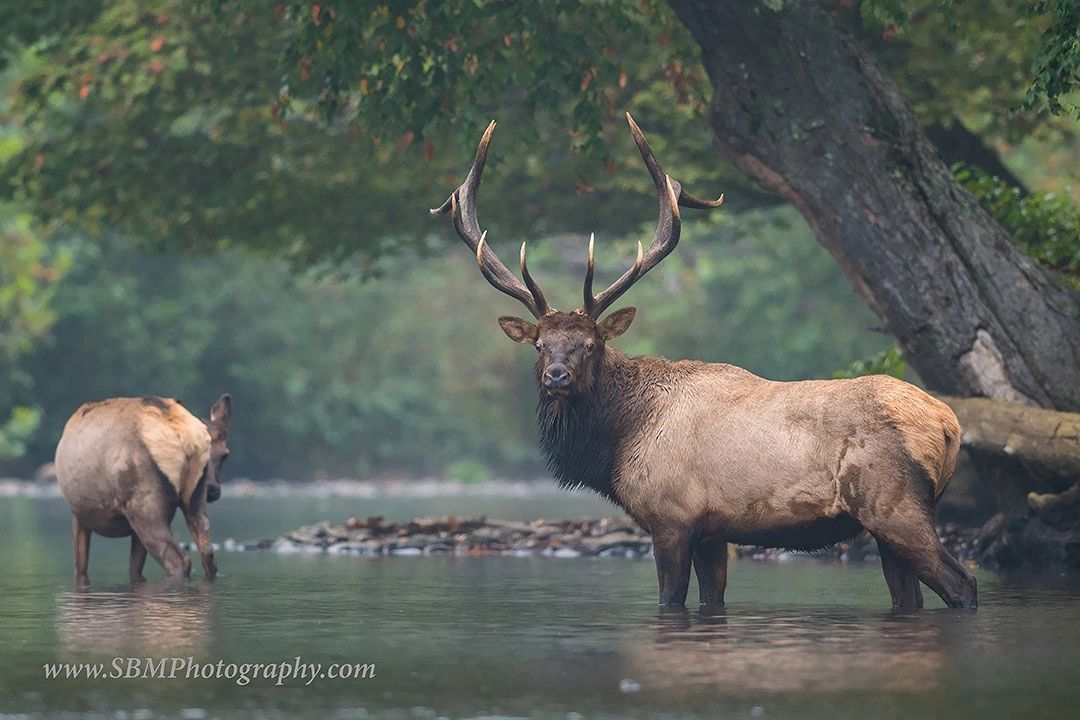 History Cushion Peak Rod and Gun Club