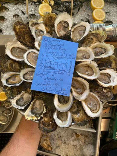 Oysters shuckers menu ice tray bar lemons seaweed  shucked open drawn Flex Mussels