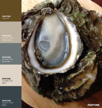 Kumamoto Oyster Shucked for the 50 Shades of Oyster