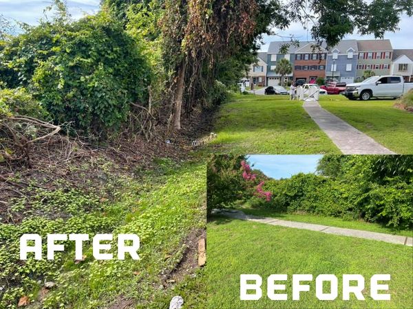 before and after of a ditch of overgrown vegetation dear a sidewalk
