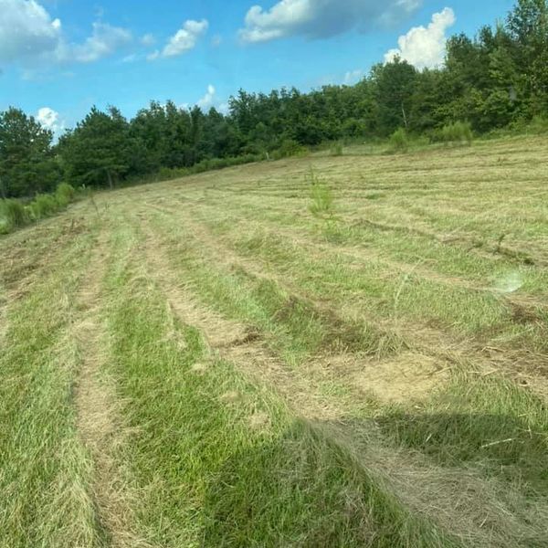 open field with trees in the background showing freshly mowed grass vegetation