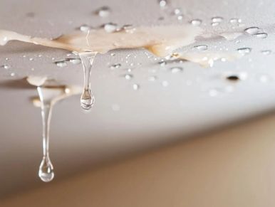 Ceiling leak with water droplets hanging.