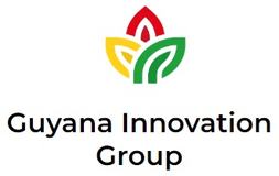 Guyana Innovation Group