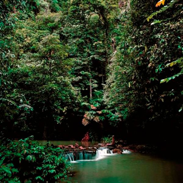 ritual massada masaje relajante