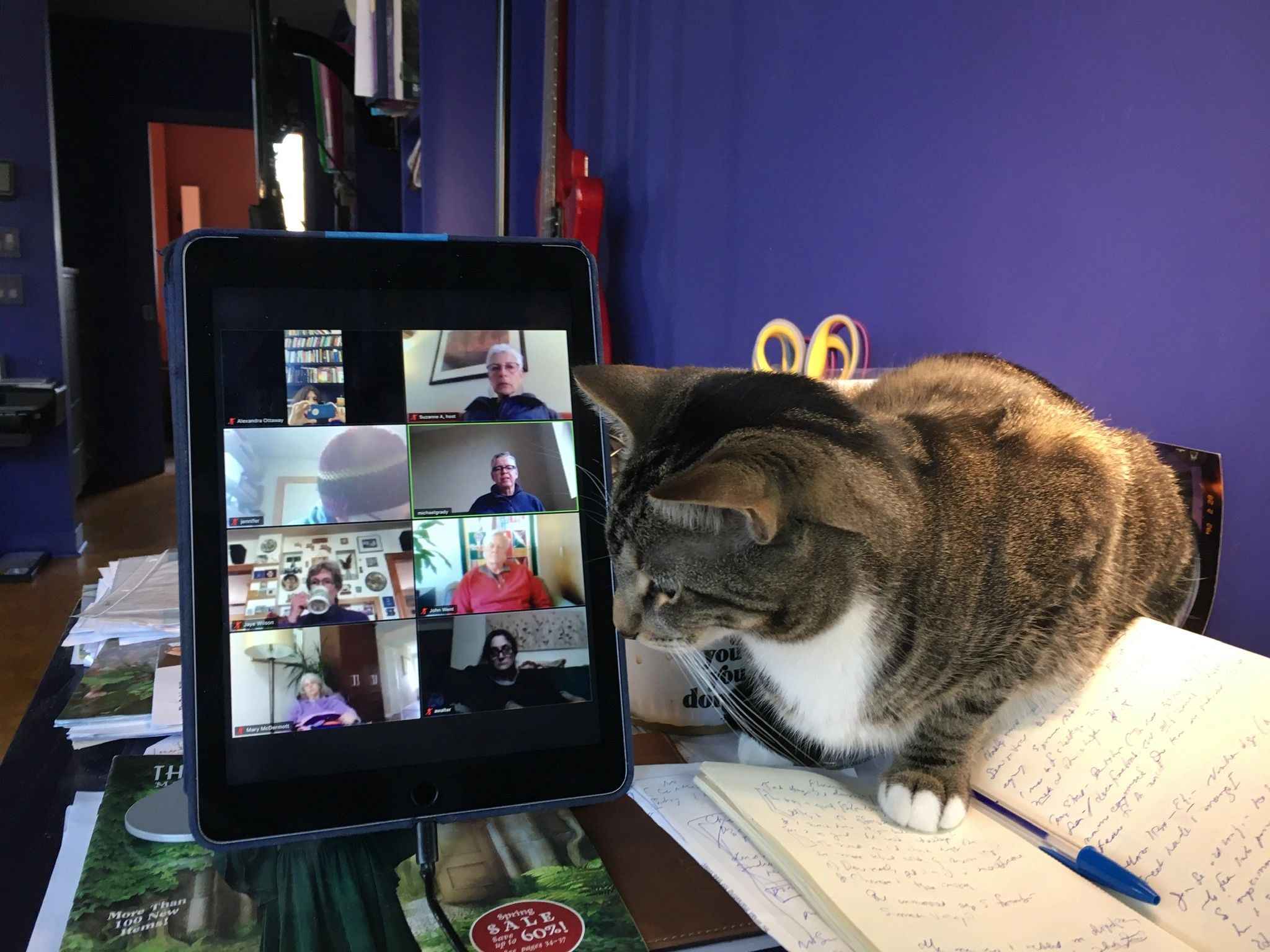 Watching ZOOM from insightpv dot org “coping with fear”.