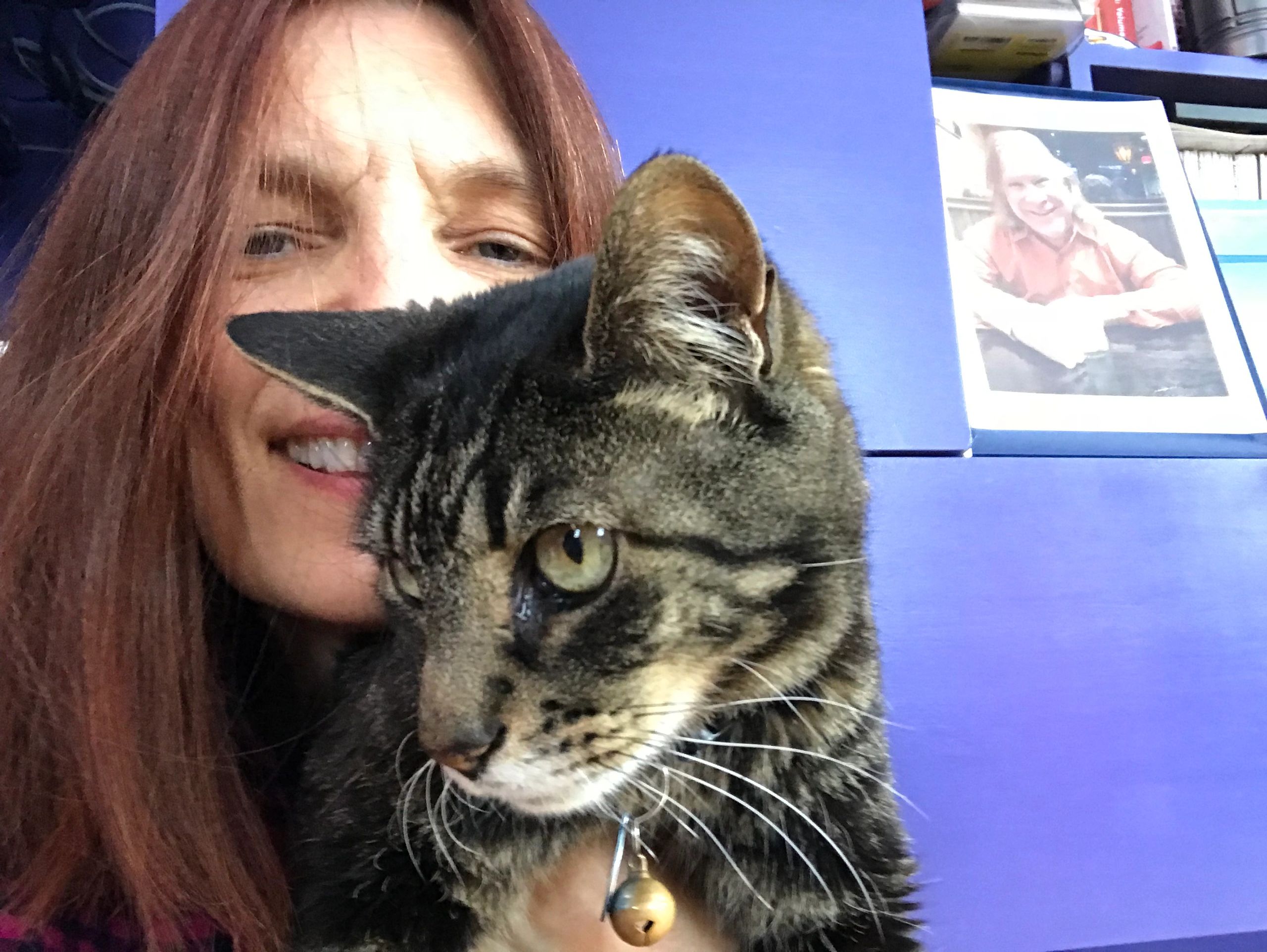 Animal Communicator