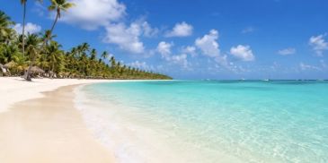Tropical beach with clear water and palm trees.