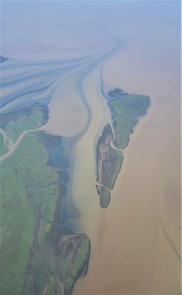 Rio de la Plata Estuary