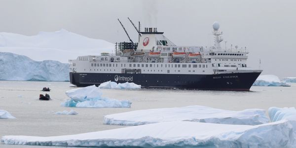 Ocean Endeavour - the Expedition's Ship