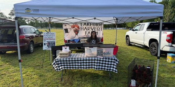 Farm stand selling fresh eggs and live chickens under a white canopy.