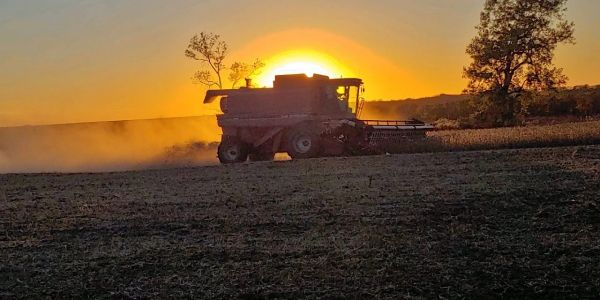 Combine harvester working at sunset in a field.