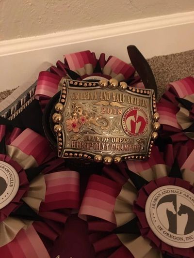 AHACO High Point Buckle
