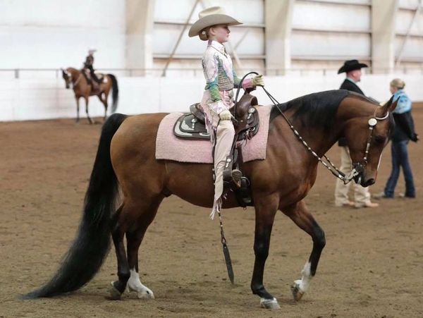 AHACO Youth Member on Western Horse