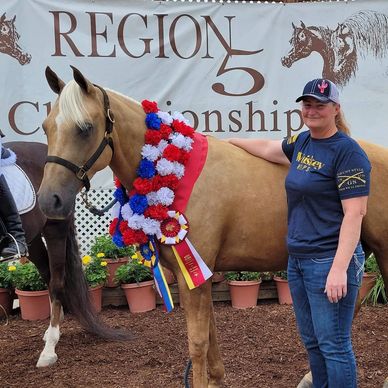 AHACO High Point Super Horse Don't Skip The Baileys and Christine Dotson