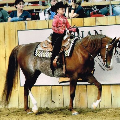 AHACO High Point Super Horse I LLOVE LUCY and Reagan Dockery