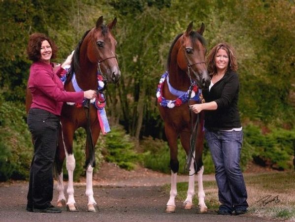 AHACO members Linda Waagen and Shawna Self with 2 Half Arabian mares