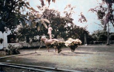 Woman standing on a horse.