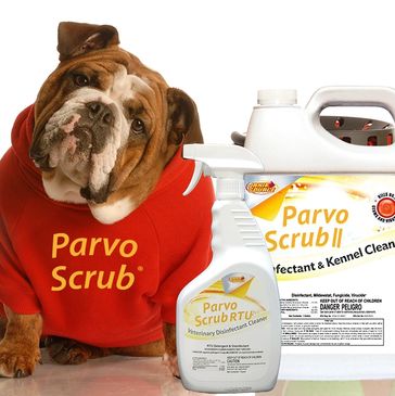 Dog next to parvoscrub products and cleaning items