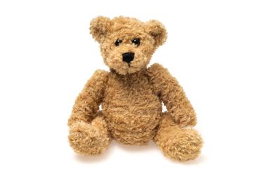 A brown teddy bear.