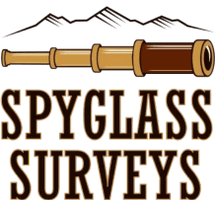 Spyglass Surveys