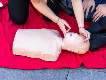 Taking a pulse or heart rate during CPR and first aid