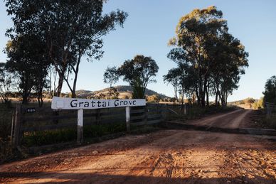Grattai Grove entrance gate