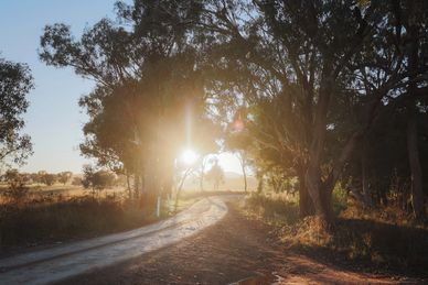 Country Road during sunset