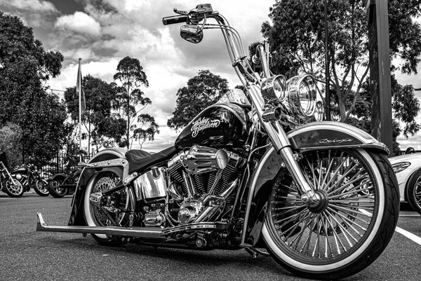 Photograph of a Harley Davidson motorcycle 