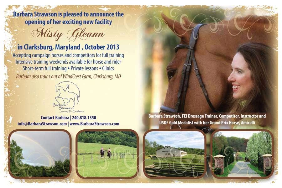 Half Page Ad for Barbara Strawson