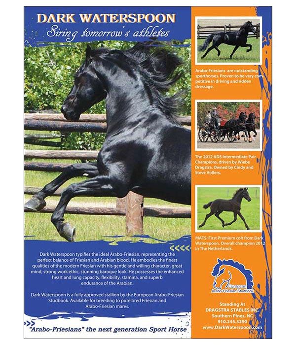 Full Page Ad for Dark Waterspoon