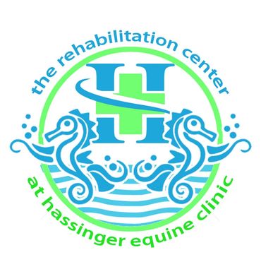 Logo idea for the Rehab Center at Hassinger Equine